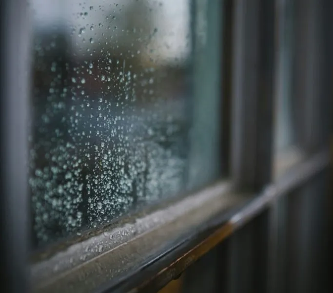 Condensation on a window pane