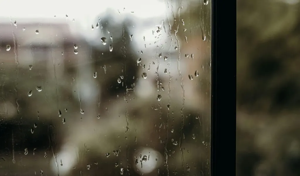 Window in need of repair